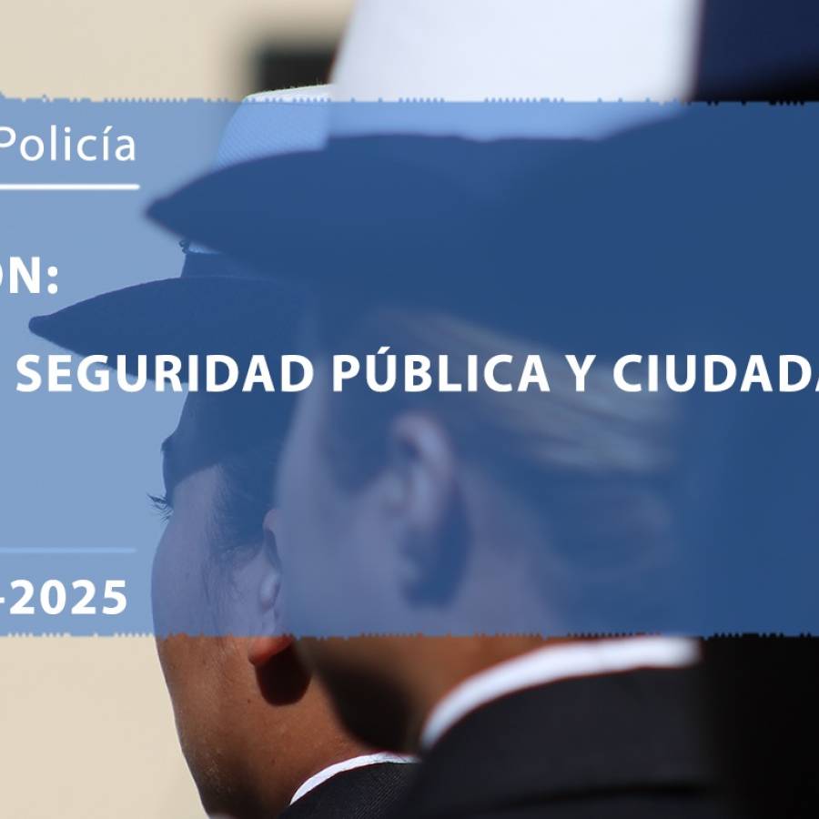 PROCESO DE SELECCIÓN: TÉCNICO SUPERIOR EN SEGURIDAD PÚBLICA Y CIUDADANA CICLO 2024-2025