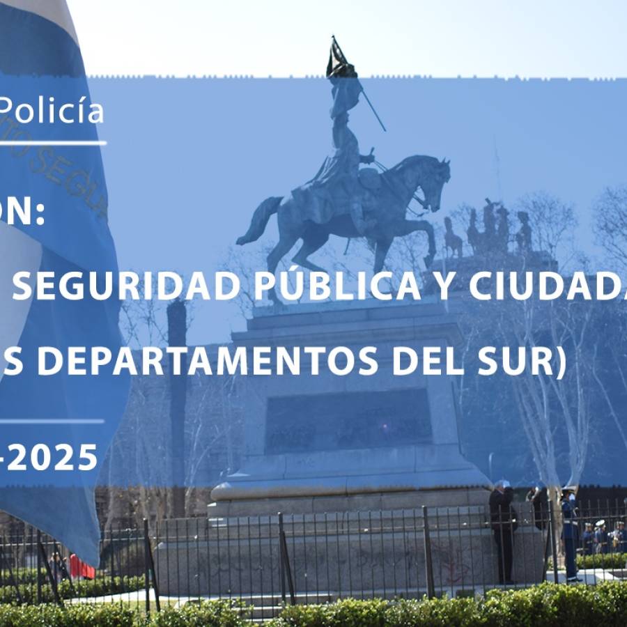PROCESO DE SELECCIÓN “TÉCNICO SUPERIOR EN SEGURIDAD PÚBLICA Y CIUDADANA CON ORIENTACIÓN POLICIAL” CICLO 2024-2025 (AMPLIACION PARA LOS DEPARTAMENTOS DEL SUR)